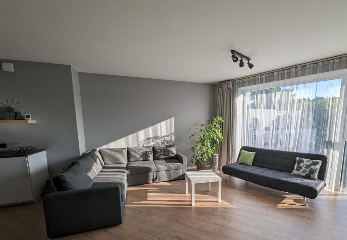 Spacious And Sunny Apartment In Birstonas Center Exterior photo